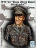 "Hans-Ulrich Rudel, Stuka Pilot