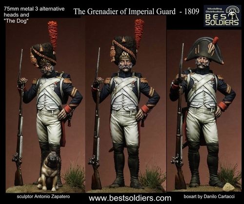 The Grenadier of Imperial Guard  - 1809